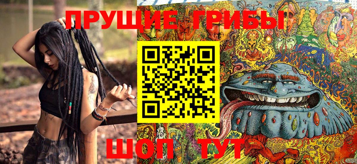 Псилоцибиновые грибы мицелий Отрадное